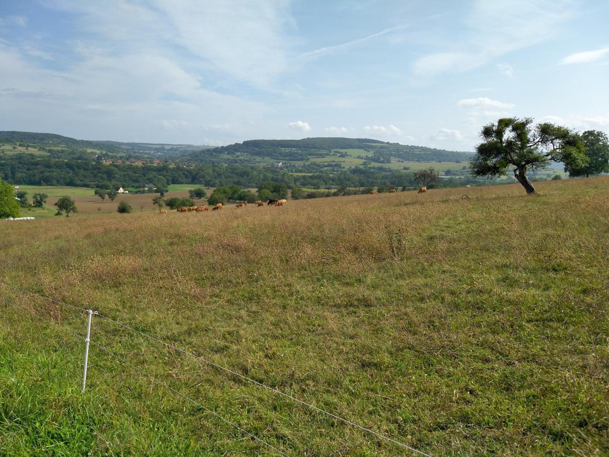 Camping Walsheim Gersheim 外观 照片
